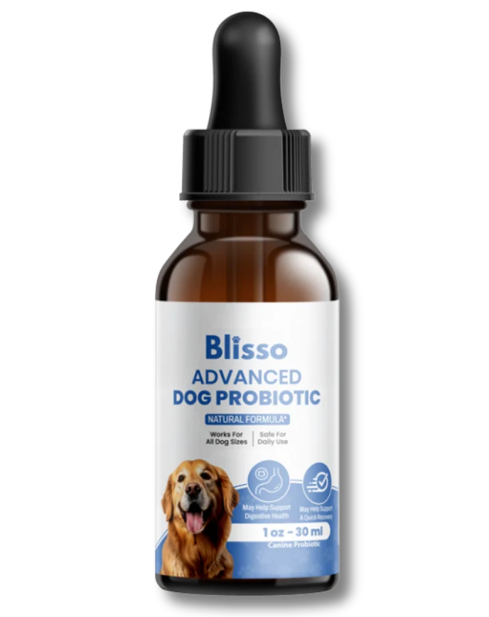Blisso Advanced Dog Probiotic