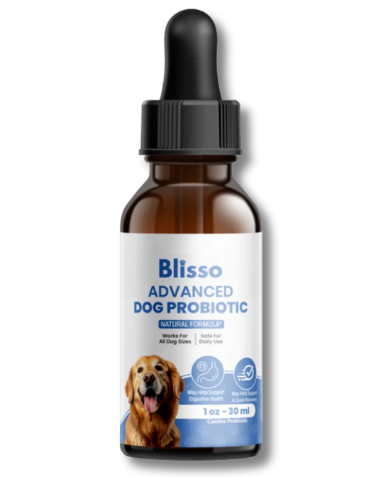 Blisso Advanced Dog Probiotic